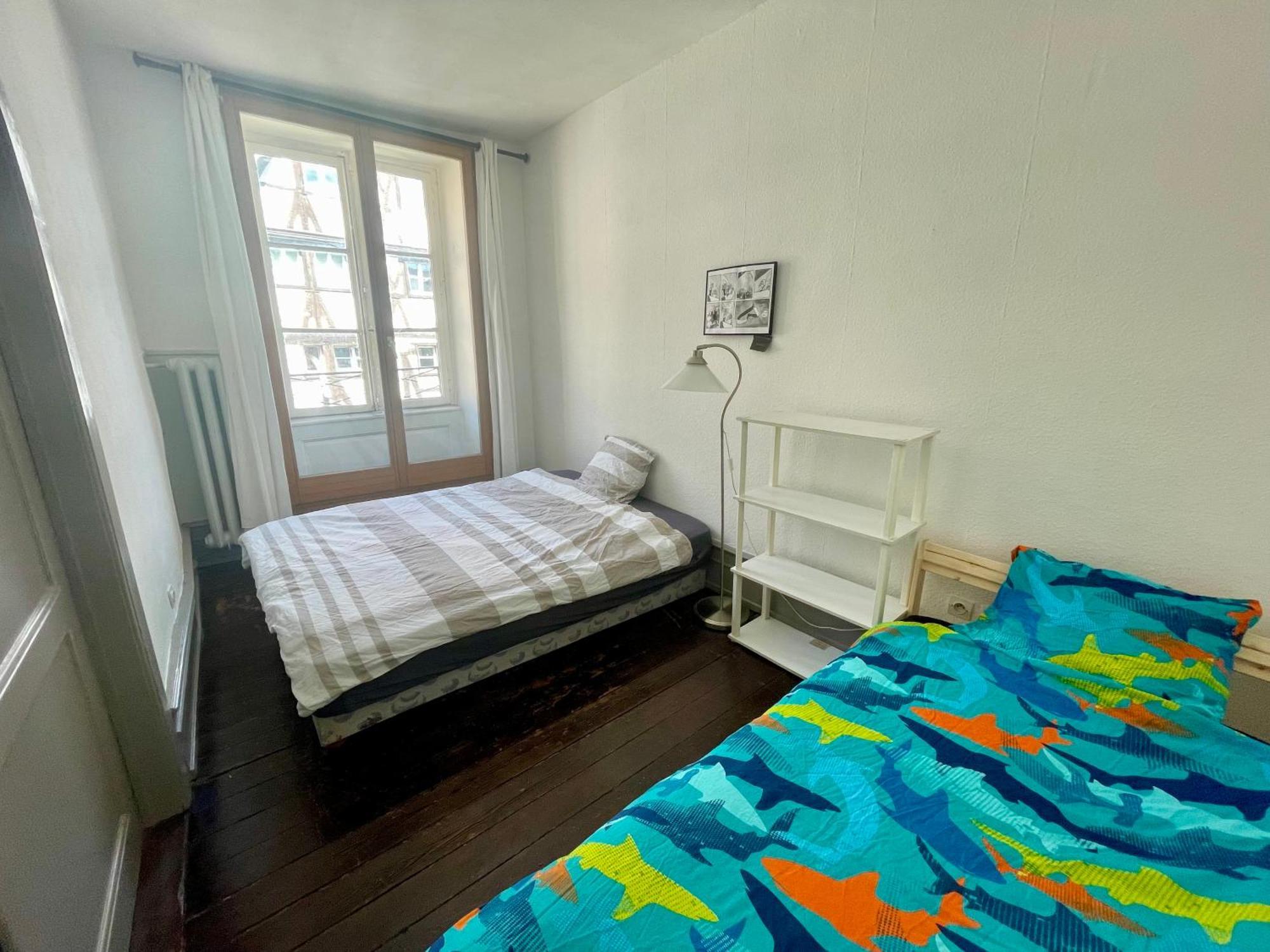 Cathedrale Spacieux Appartement Strasbourg Bagian luar foto